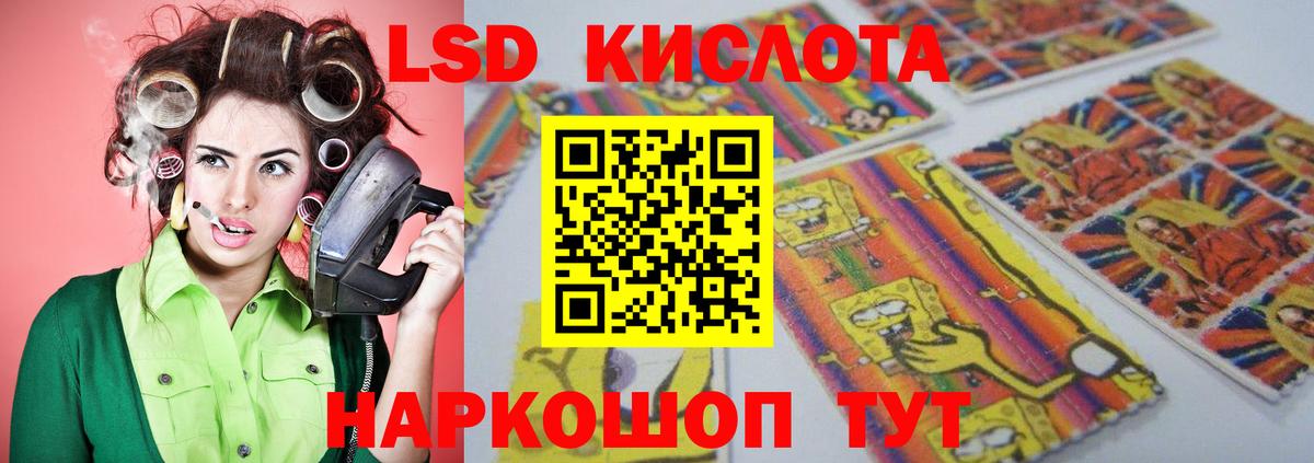 COCAIN Сокол